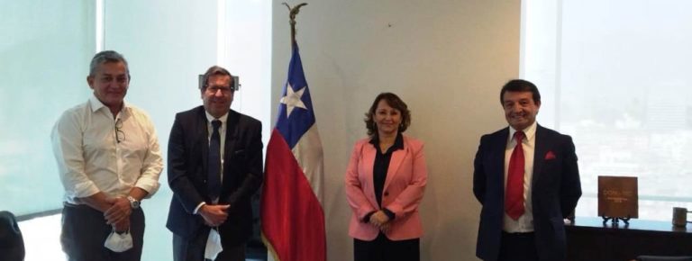 REUNIÓN MINISTRA DE MINERÍA CON CÁMARA MINERA DE CHILE x