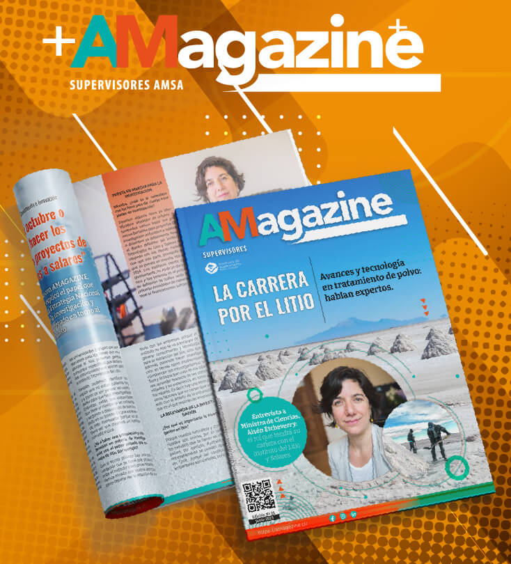 Edición N°28 – Revista AMagazine