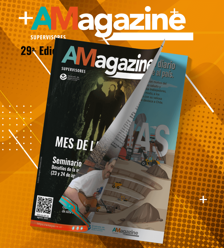 Edición N°29 – Revista AMagazine