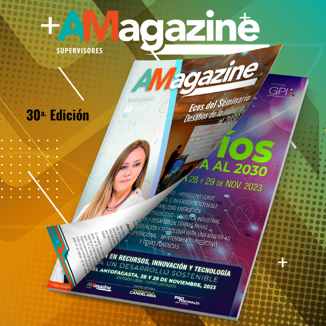 Edición N°30 – Revista AMagazine