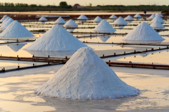 Empresa China Ganfeng Lithium inaugura su primera planta de litio en Argentina