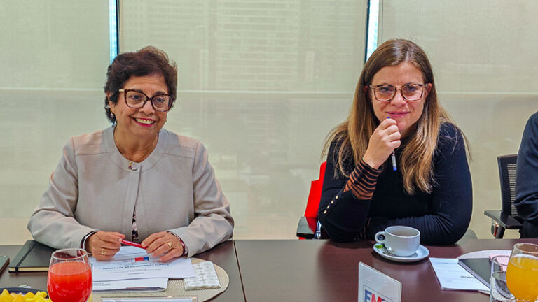 Comité Consultivo - Ministerio de Minería