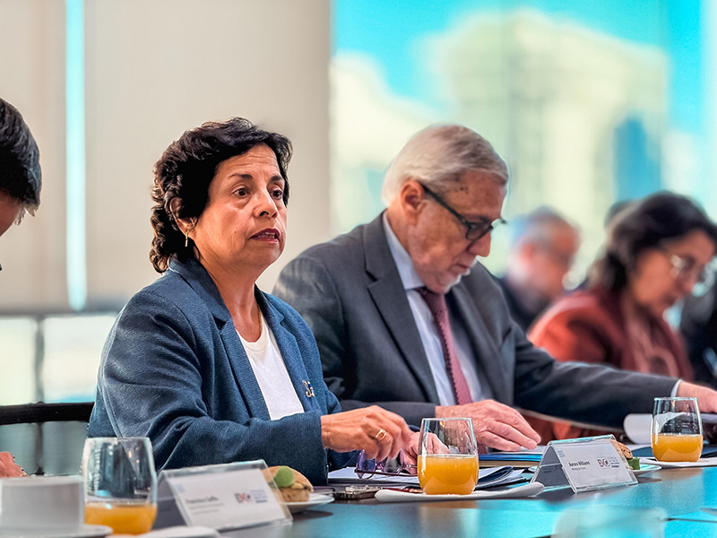 Estrategia de Minerales Críticos