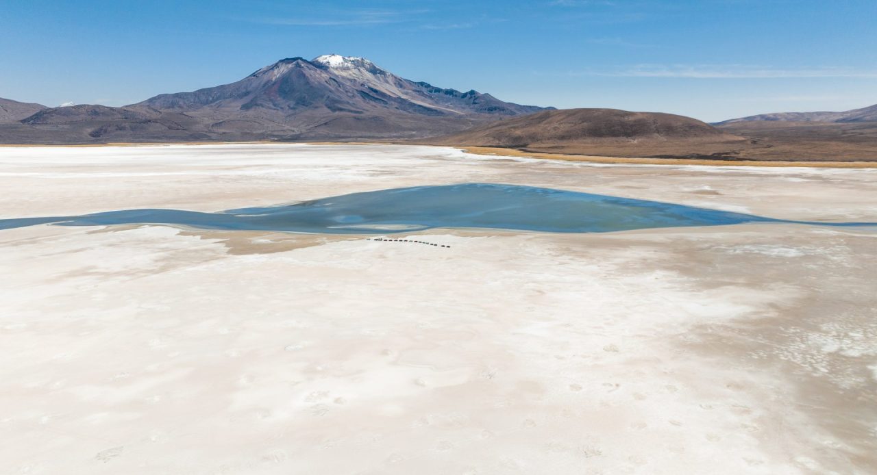 Tribunal Ambiental revisa suspensión de faenas de Quiborax en el Salar de Surire
