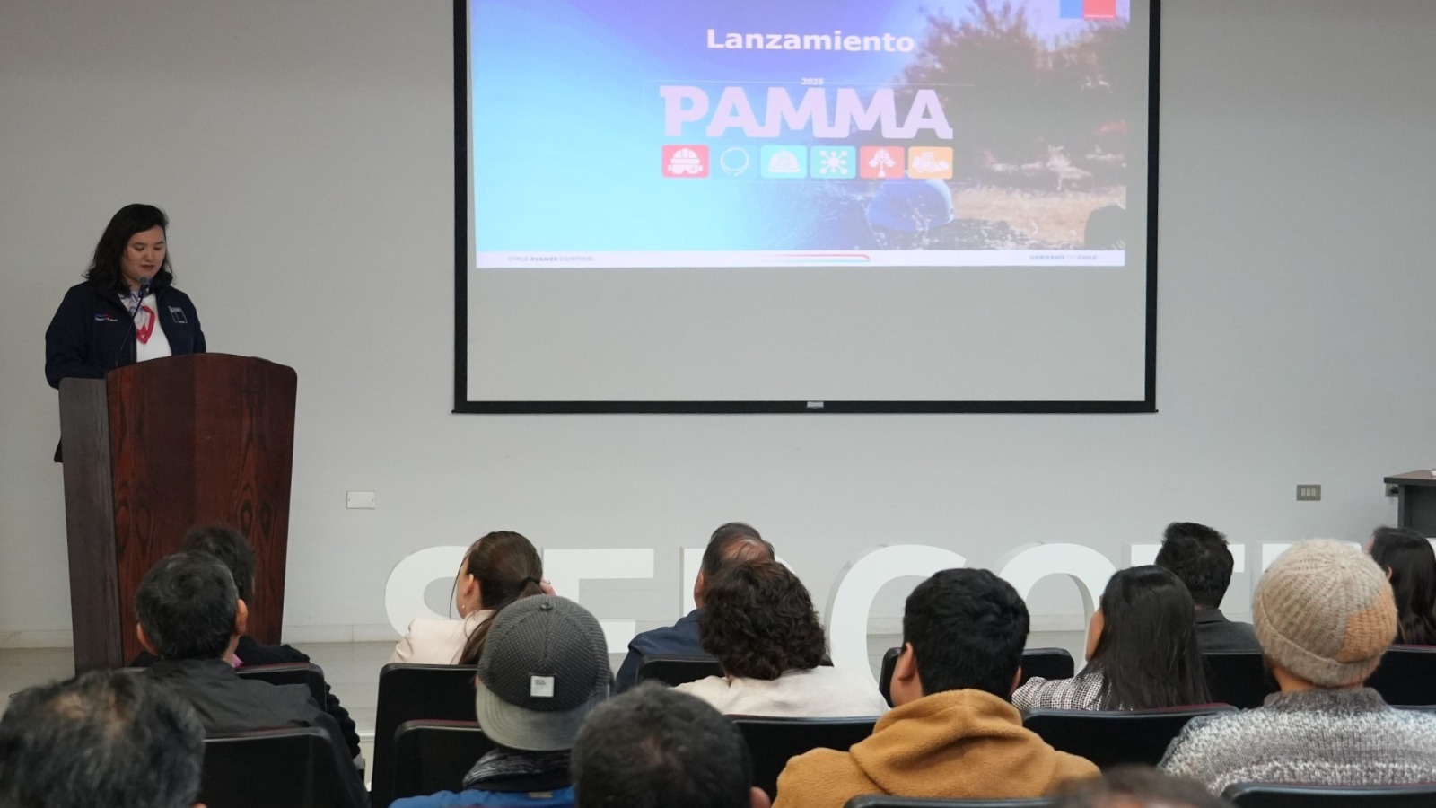 PAMMA 2025 - PEQUEÑA MINERÍA