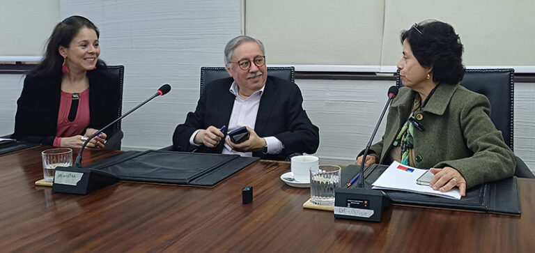 Cochilco, informe 28 de cobre mayo 2025