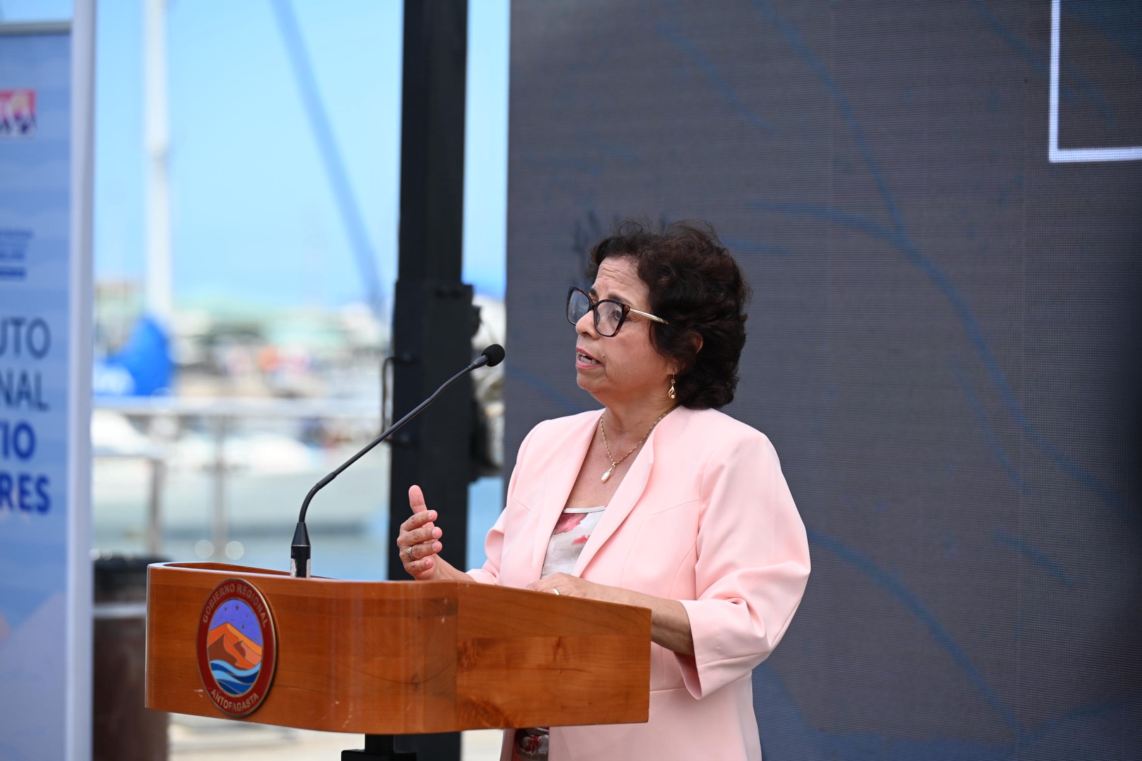 Litio - Ministerio de Minería