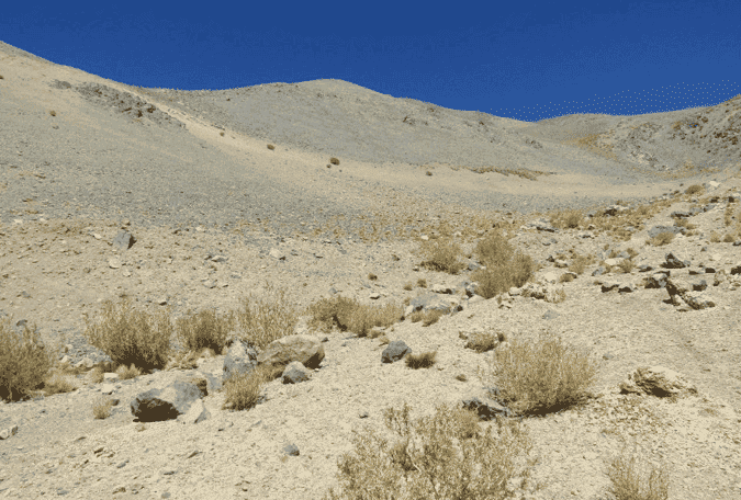 Tribunal acoge reclamaciones contra el SEA por aprobación de proyecto minero de Barrick