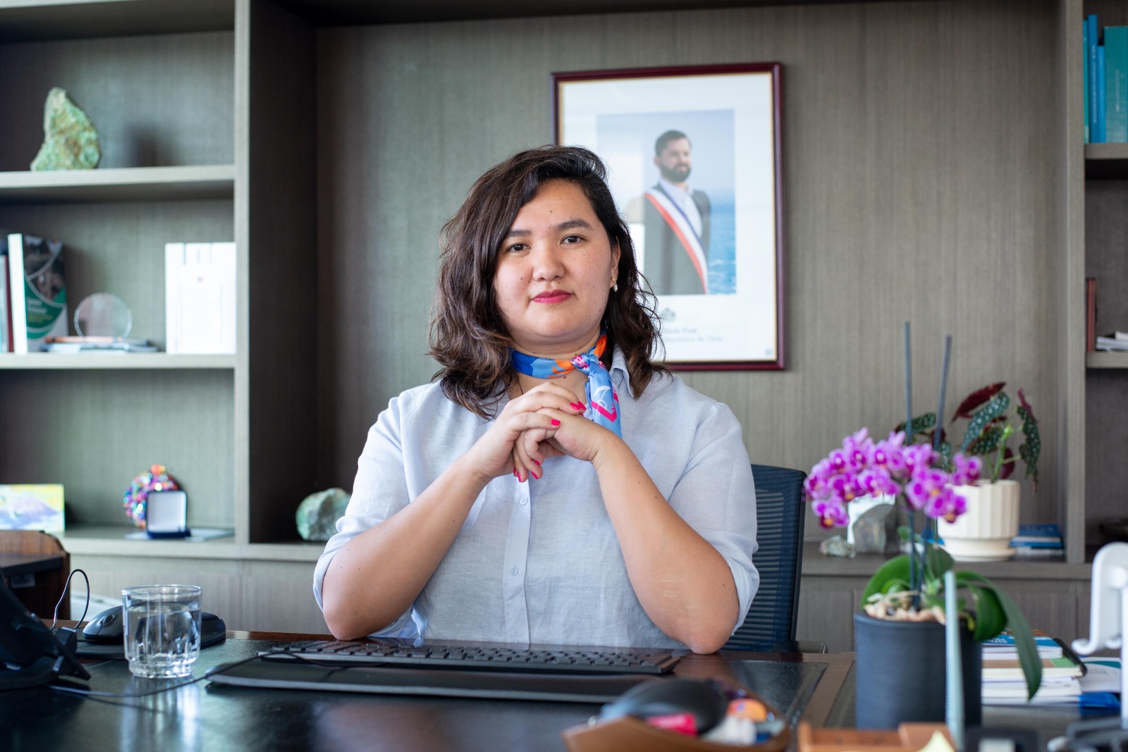 Subsecretaria de Minería, Suina Chahuán