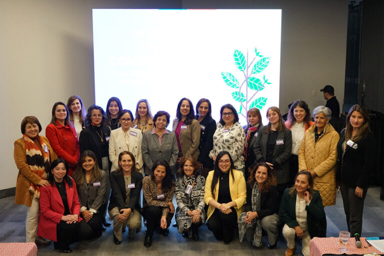 Premio Karen Poniachik