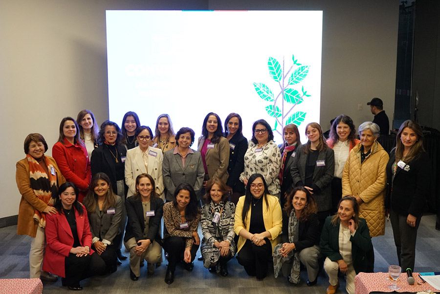 Premio Karen Poniachik