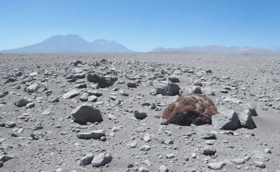 Tribunal Ambiental rechaza demanda por daño ambiental en proyecto Parque Eólico Ckhúri