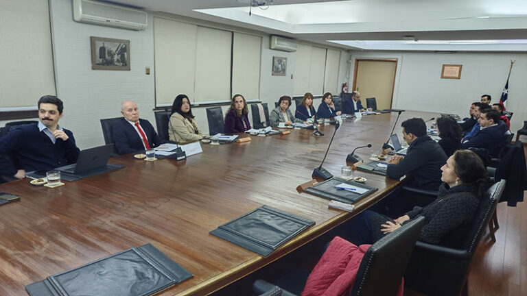 Cochilco, litio CEOL.