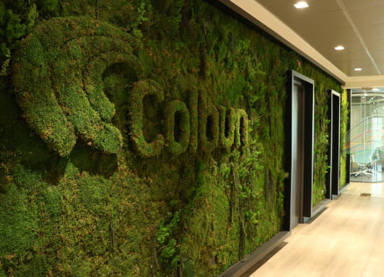 Colbún coloca bonos verdes por US$500 millones con la menor prima de un corporativo chileno en 20 años