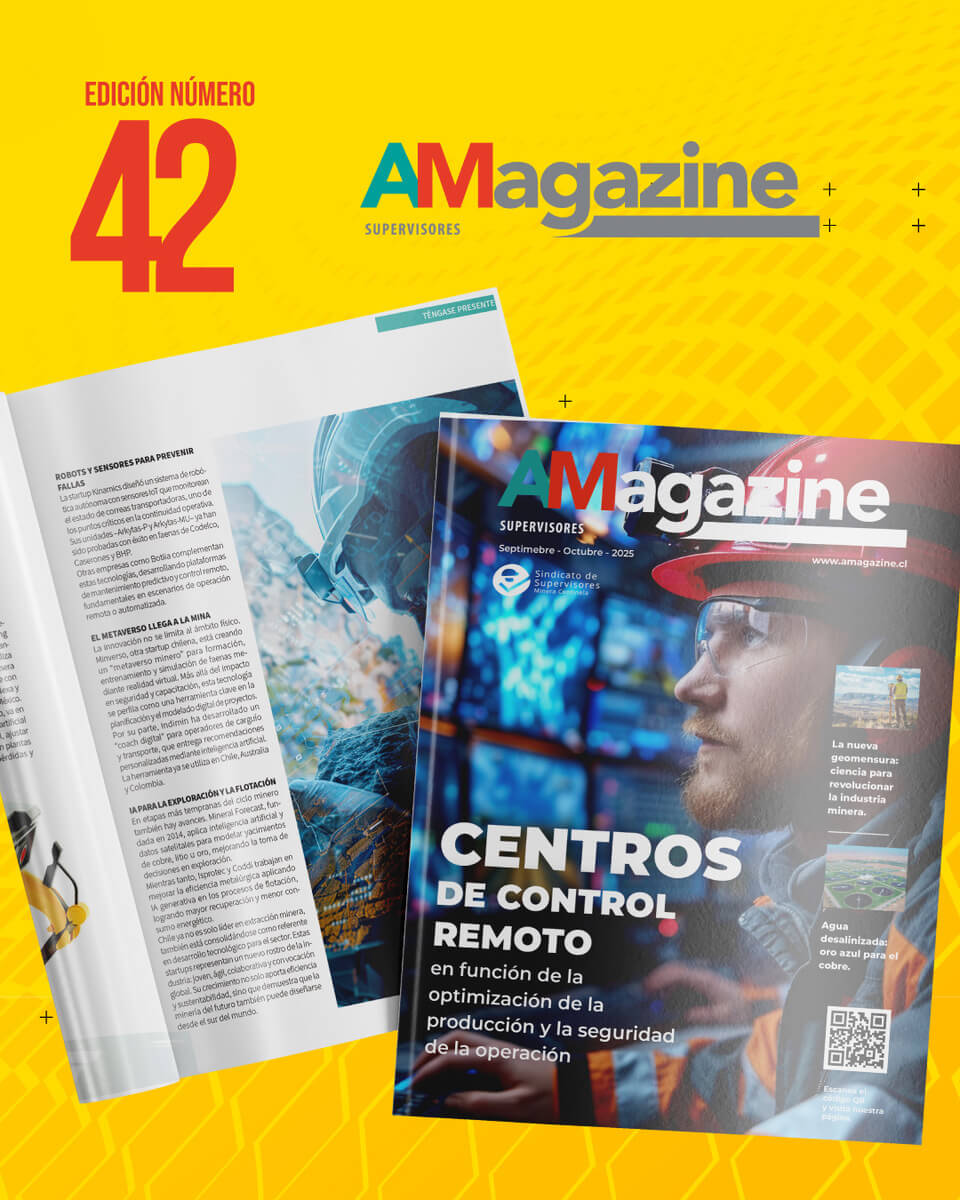 Edición N°42 – Revista AMagazine