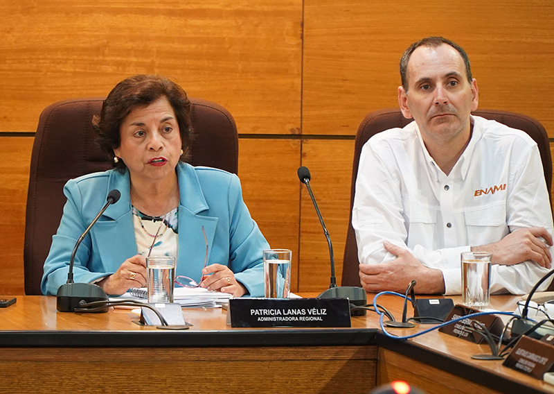 Enami recibe luz verde ambiental para invertir US$ 1.700 millones en nueva fundición de cobre en Atacama