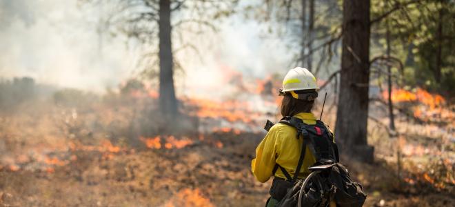 SEA suspende evaluación ambiental de proyecto de tierras raras en Biobío por emergencia de incendios