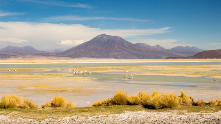 Codelco y Quiborax conforman Minera Ascotán para impulsar CEOL y futuro proyecto de litio en salar de Ascotán