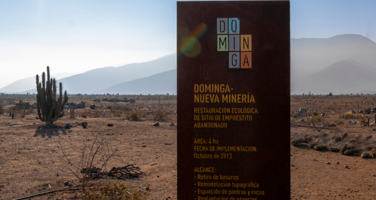Corte de Antofagasta ordenó nuevo pronunciamiento administrativo y Andes Iron ratifica continuidad de Dominga