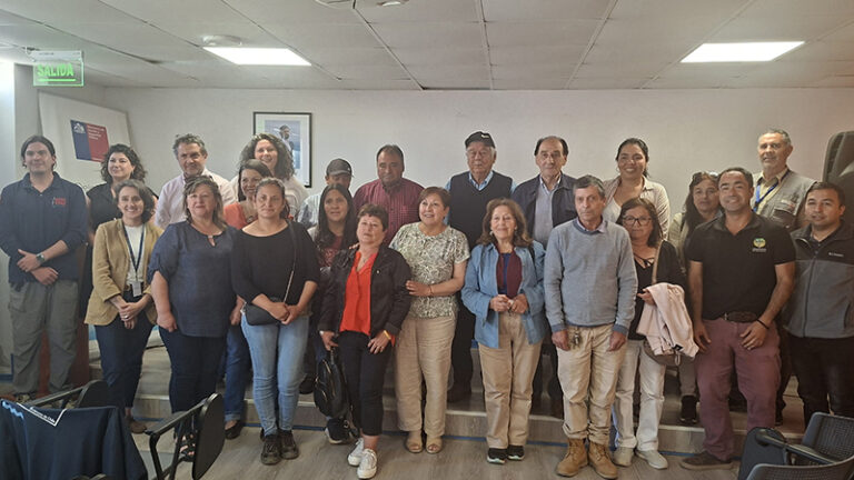 Pequeña minería: Mesa de la Sal en Pichilemu una alianza clave para proteger el patrimonio salinero