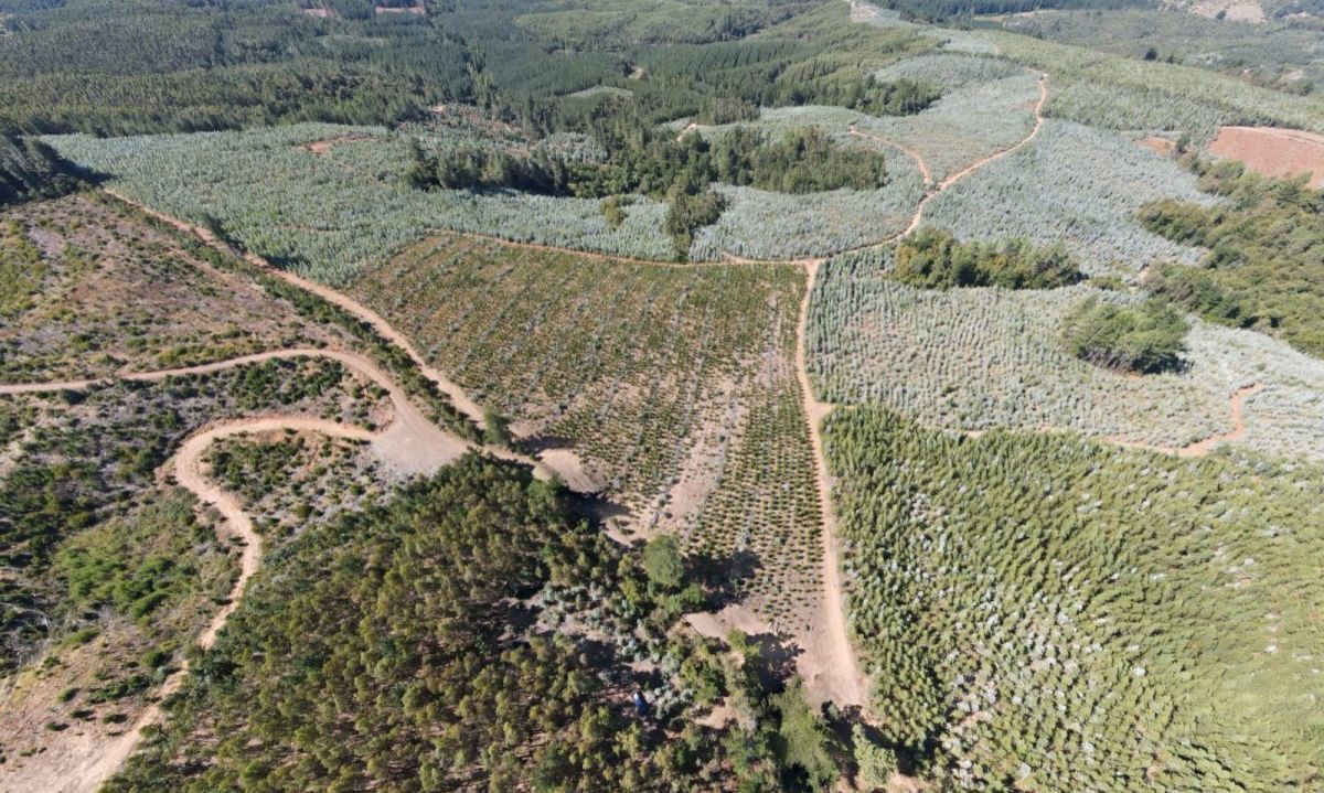 Proyecto de tierras raras NeoRe acelera su desarrollo en el sur de Chile y avanza hacia su prefactibilidad