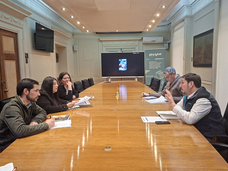 Seremis de Minería y ejecutivos de ENAMI sostienen reunión para fortalecer la pequeña y mediana minería