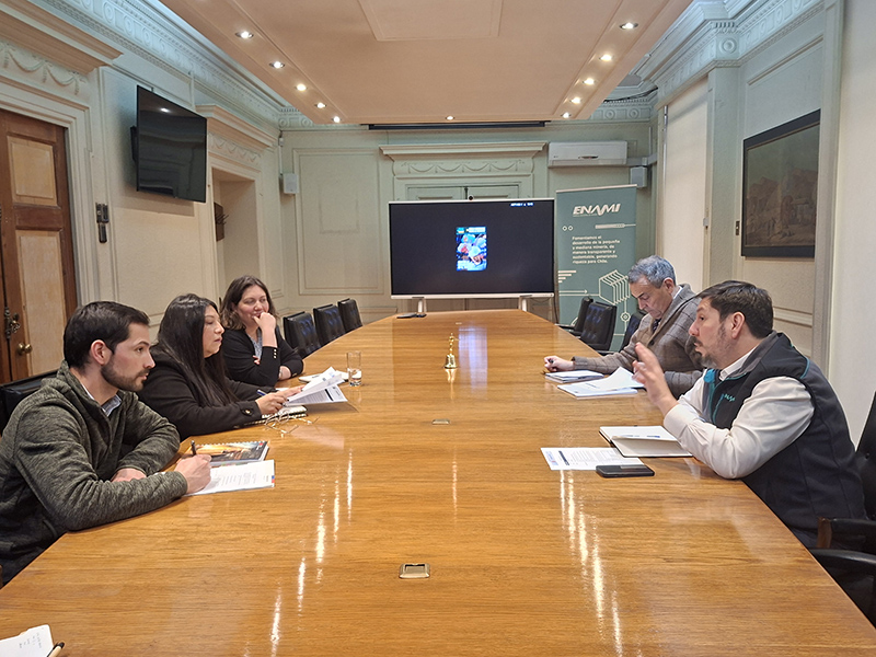 Seremis de Minería y ejecutivos de ENAMI sostienen reunión para fortalecer la pequeña y mediana minería