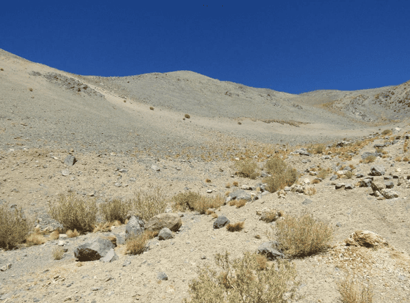 Observantes impugnan resolución del SEA que rechazó invalidar RCA de proyecto Prospección Minera Campanario